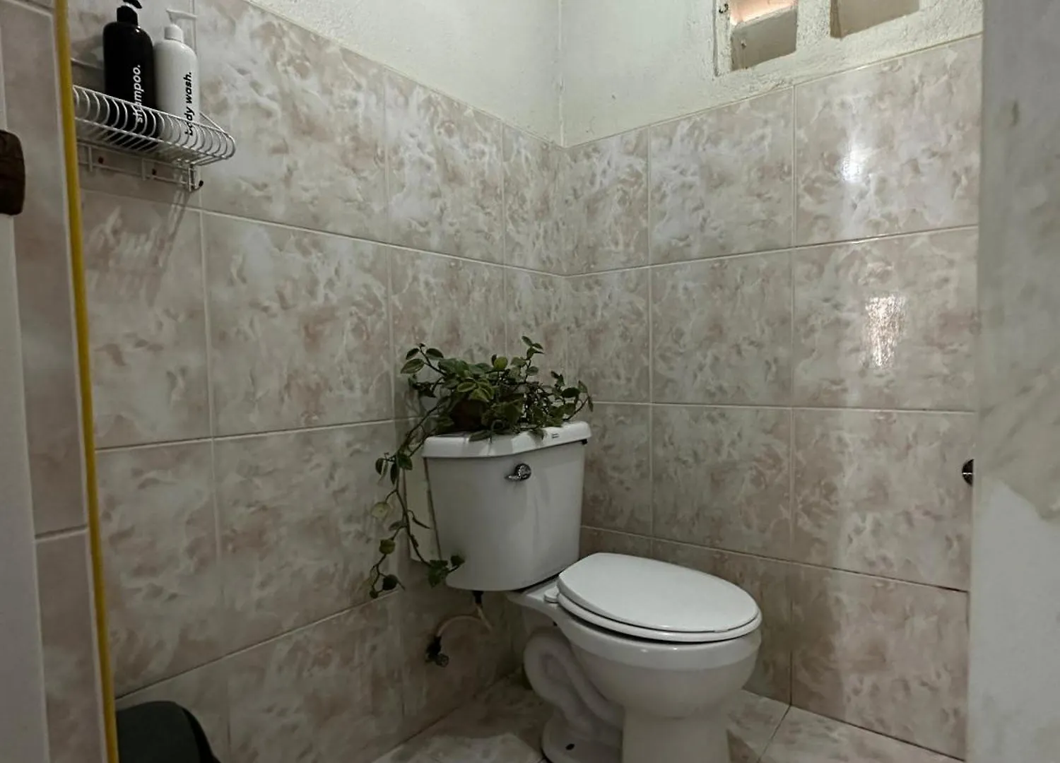 Catio Apartments Panglao